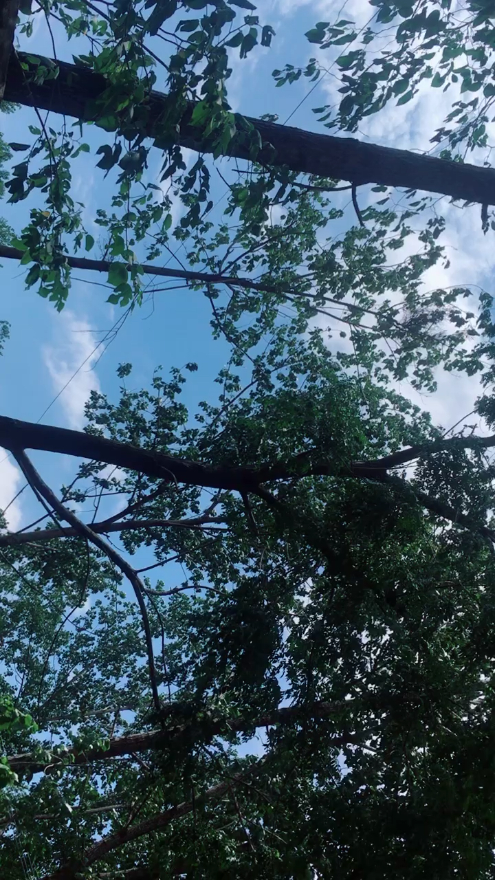 炎热的夏天,送你们一丝丝凉意