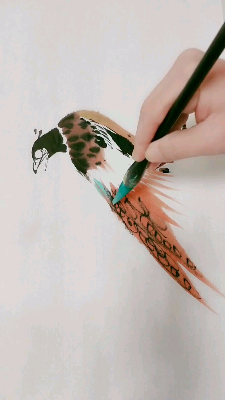 #我要上热门#请看山鸡的画法