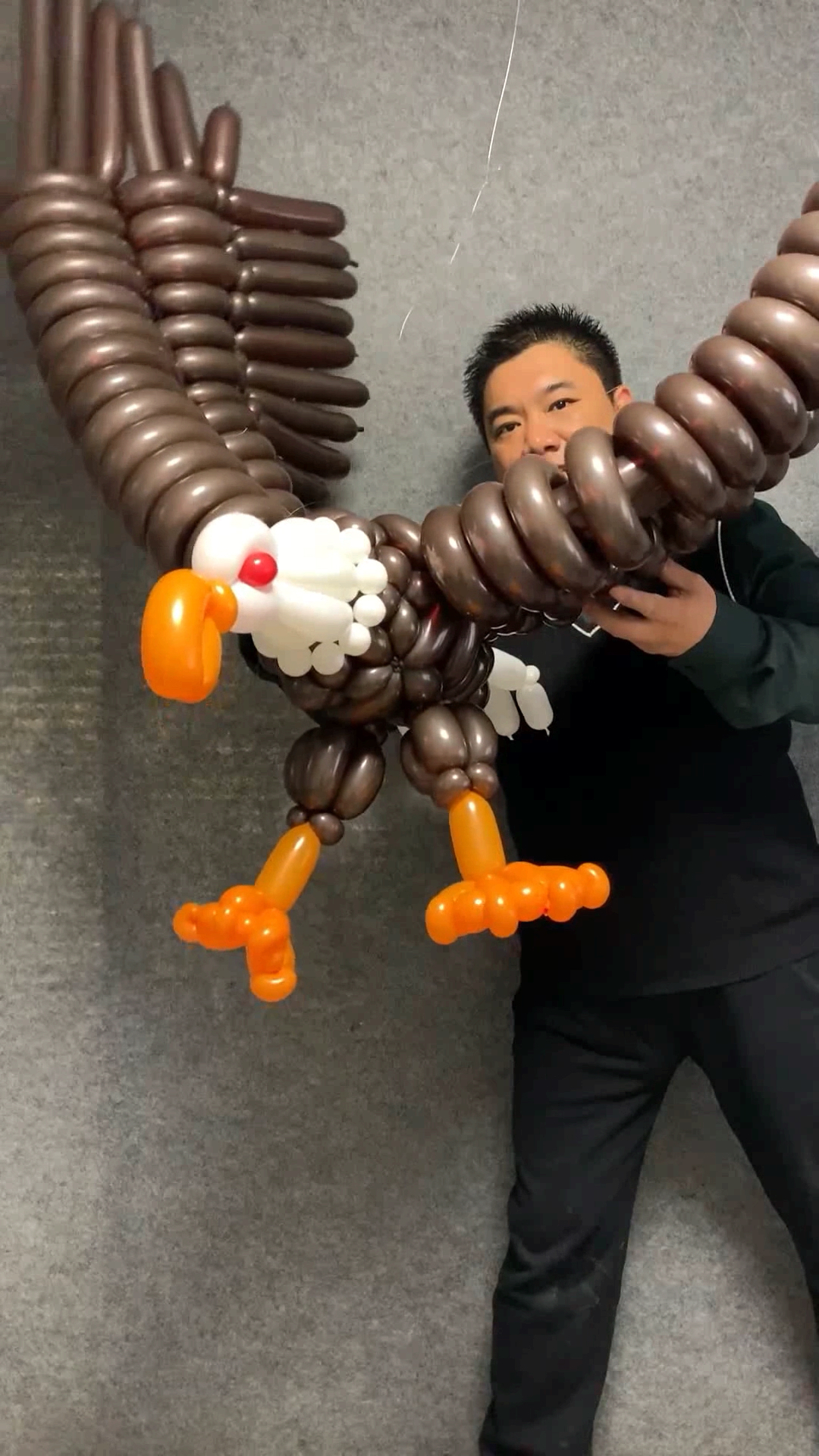 也不知道这样的老鹰能不能抓到小鸡?