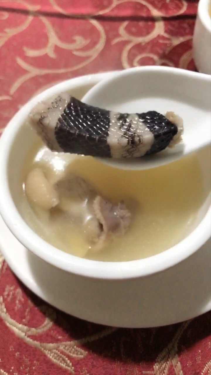 金包铁煲鸡,蛇汤,大补!