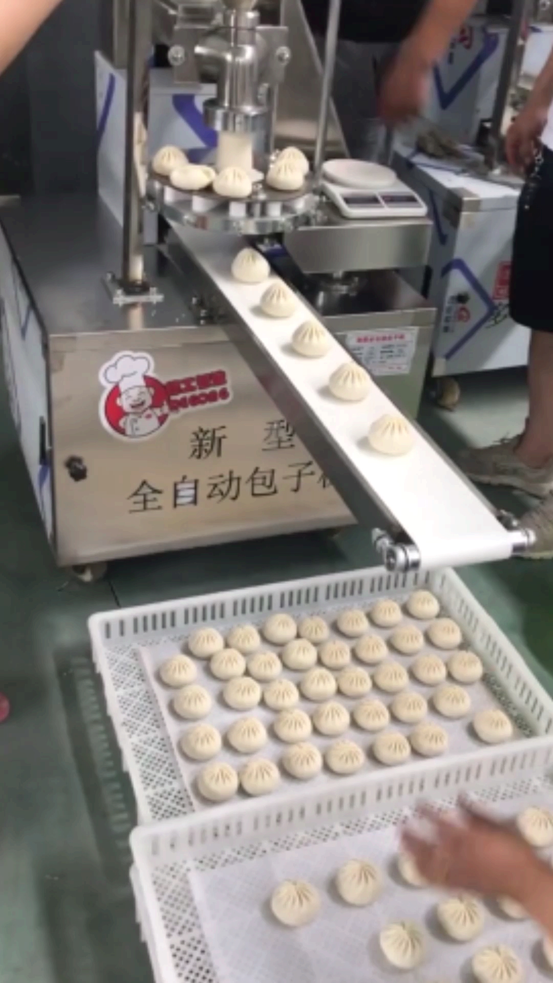 你一顿能吃几个包子