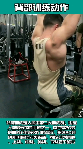 #健身#背部训练