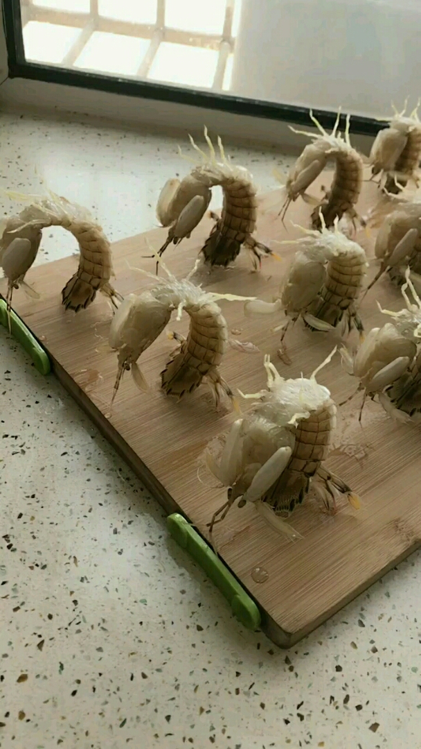 皮皮虾我们走