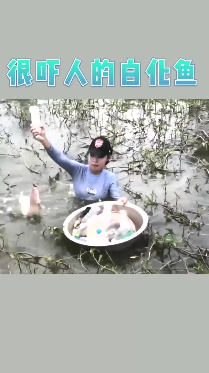 你见过这种鱼吗,你猜什么鱼呢