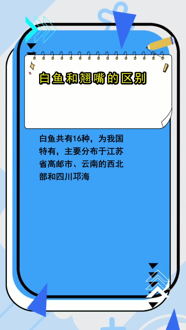 白鱼和翘嘴的区别,你理解了吗
