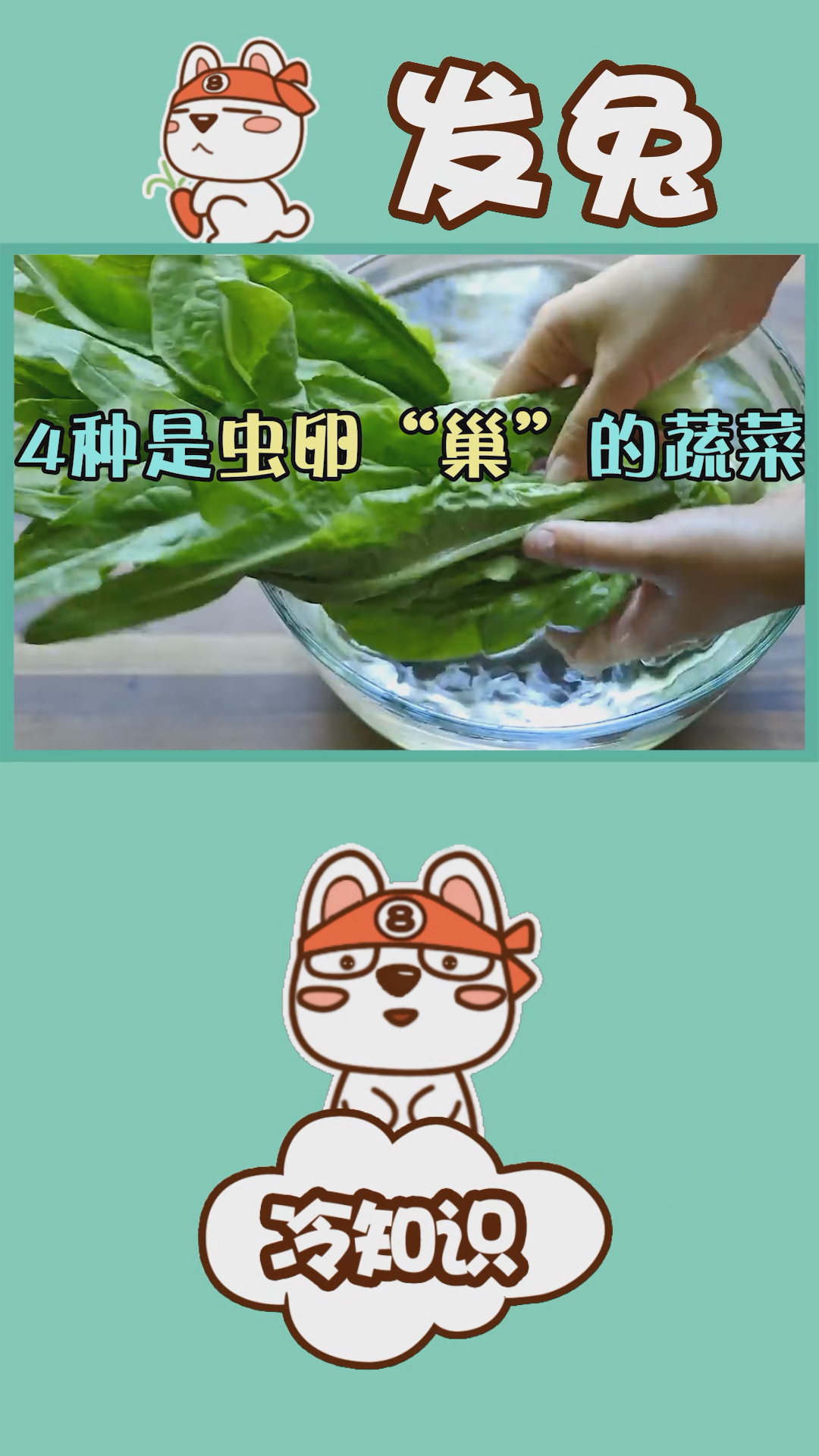 这4种蔬菜是虫卵的“巢”,空心菜上榜,看完你敢吃吗?
