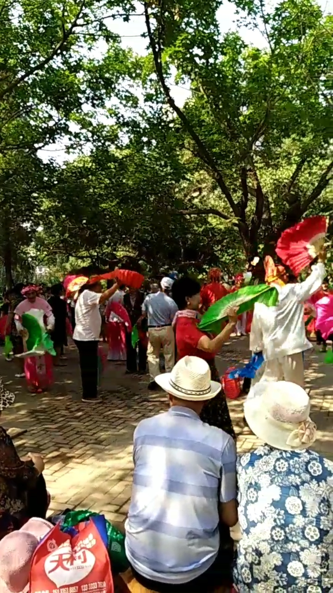 秦皇岛汤河公园秧歌队,美女帅哥们大秧歌扭的太美了。凌云:摄制2019.6.24.