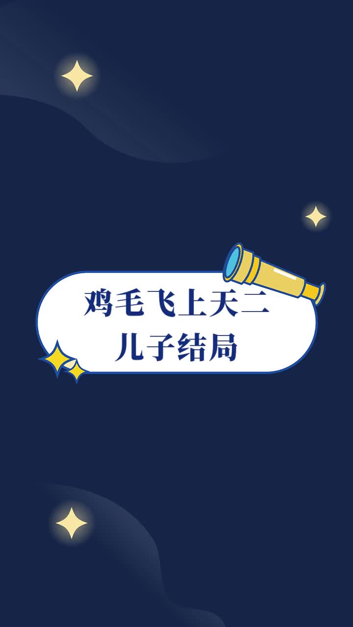 鸡毛飞上天二儿子结局