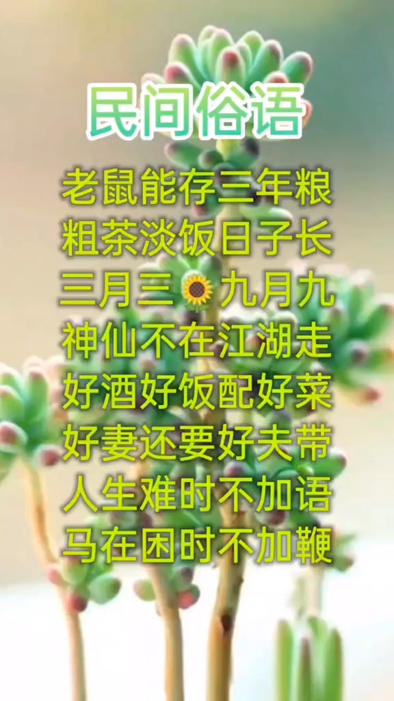 文字控 民间俗语