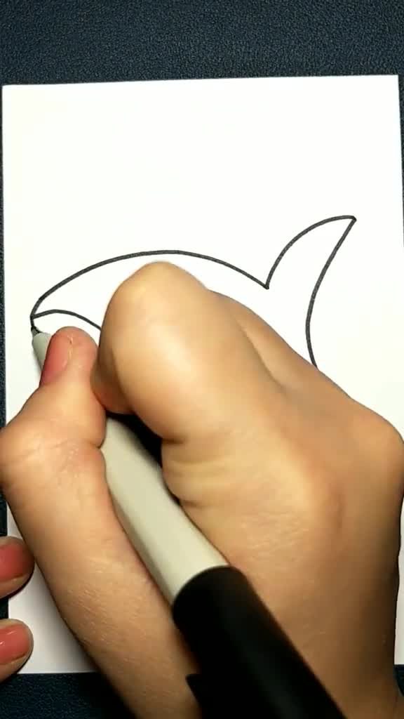 简单易学的鲨鱼简笔画 