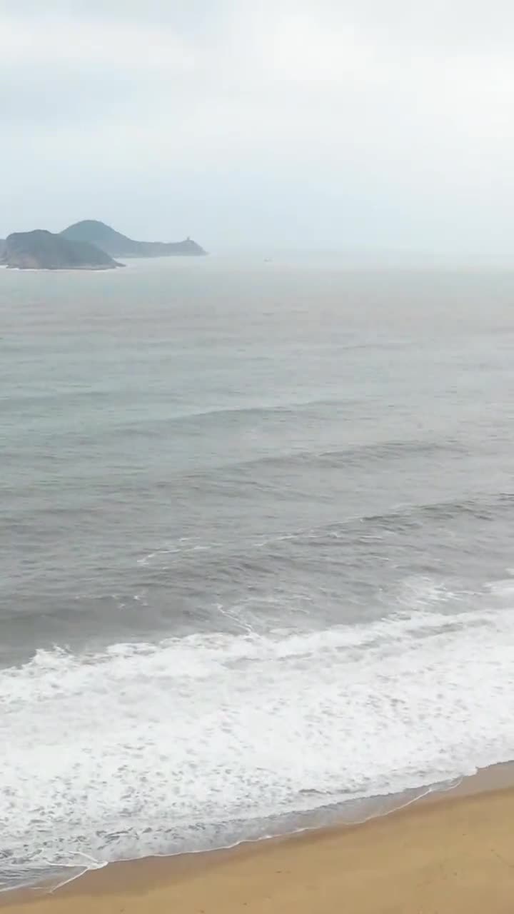 美味的蒜蓉琵琶虾!