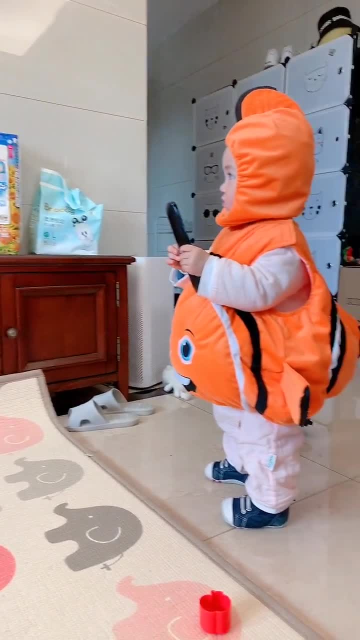 我们家鱼特别喜欢看这个动画片小丑鱼尼