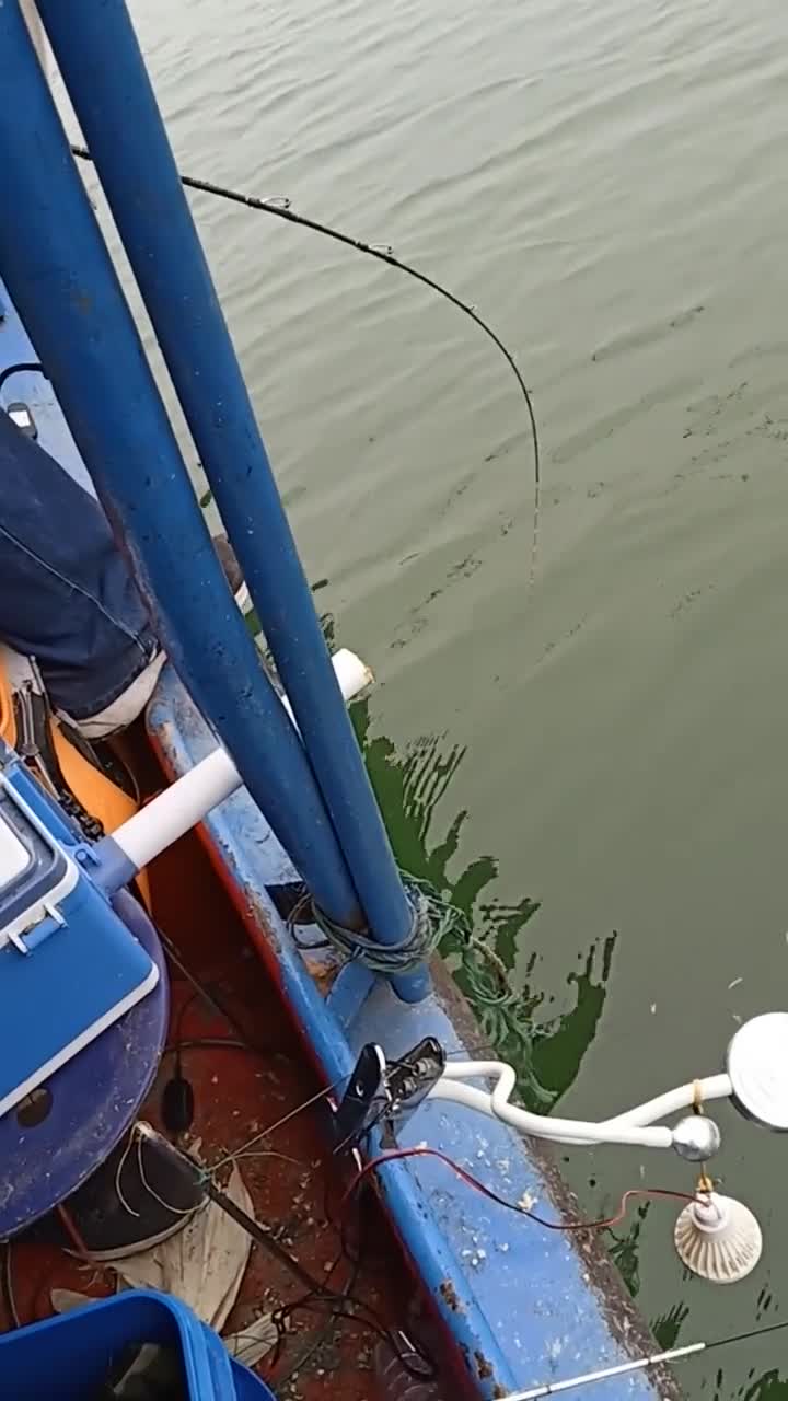 筏钓大鲤鱼出水