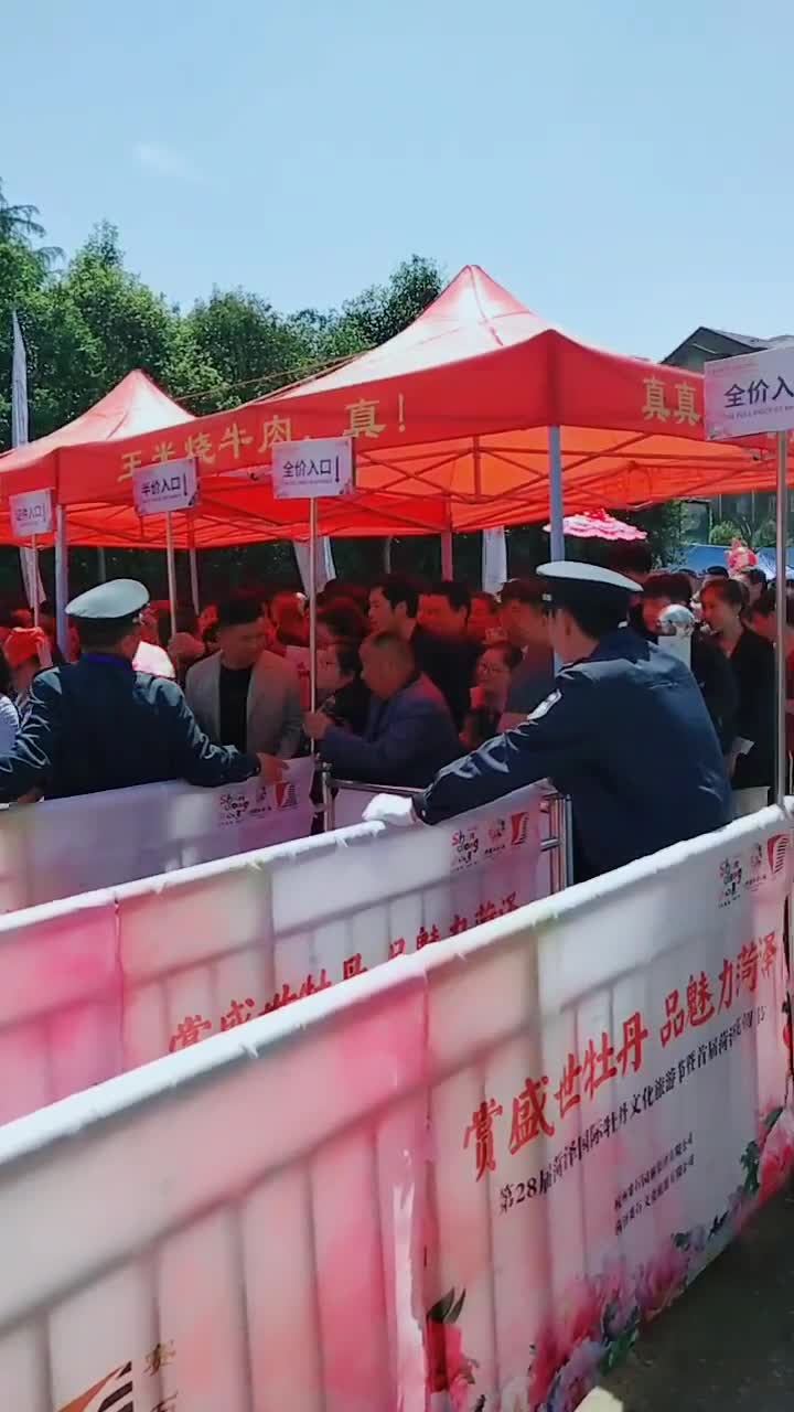 菏泽牡丹甲天