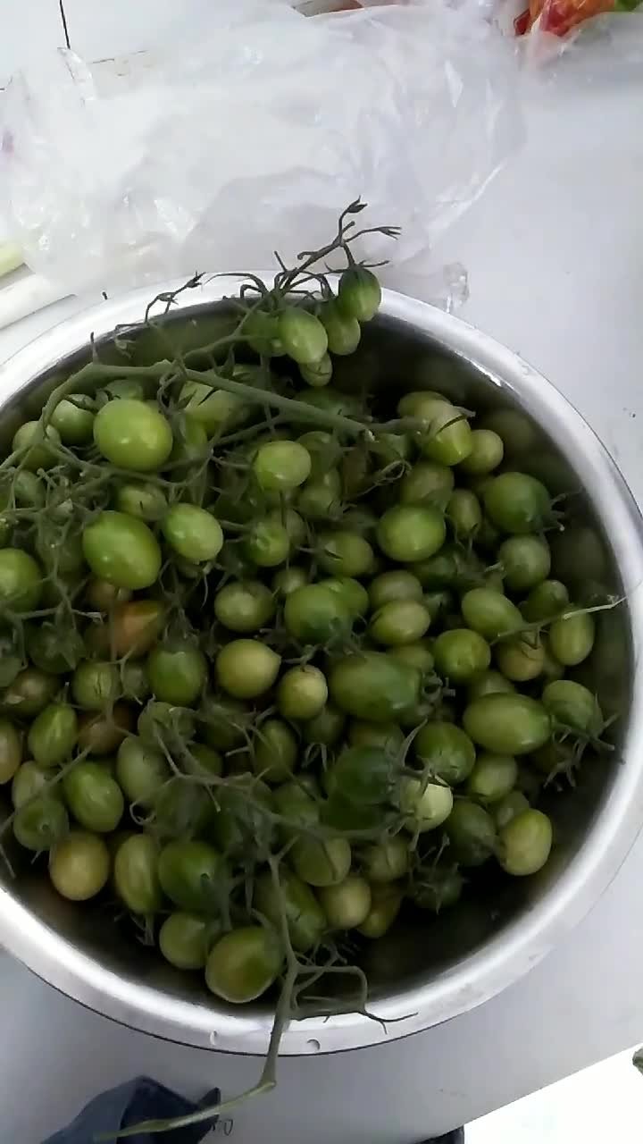 教程来了用绿柿子淹咸菜,非常的好吃!