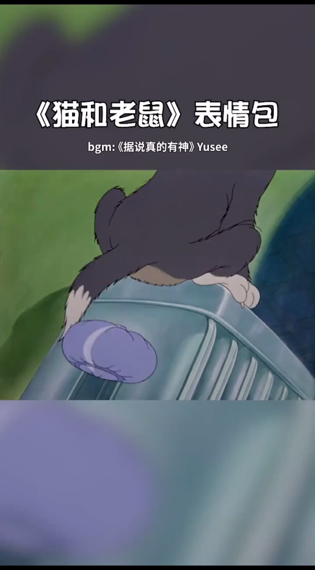 猫和老鼠,汤姆带着表情包走来了!