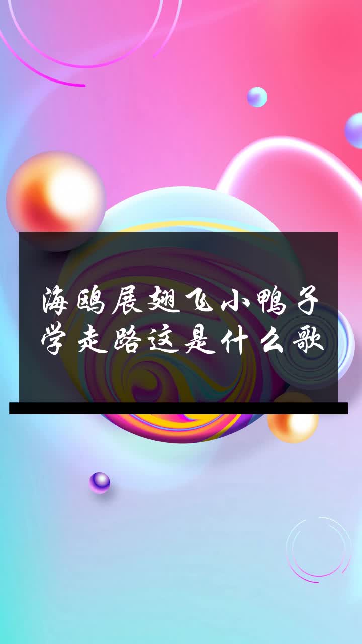 海鸥展翅飞小鸭子学走路这是什么歌