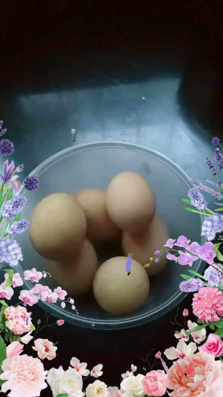 大家晚上好!咸鸭蛋好吃吗?