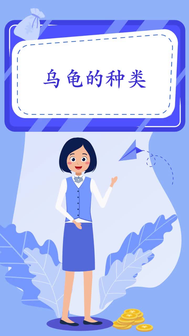 乌龟的种类