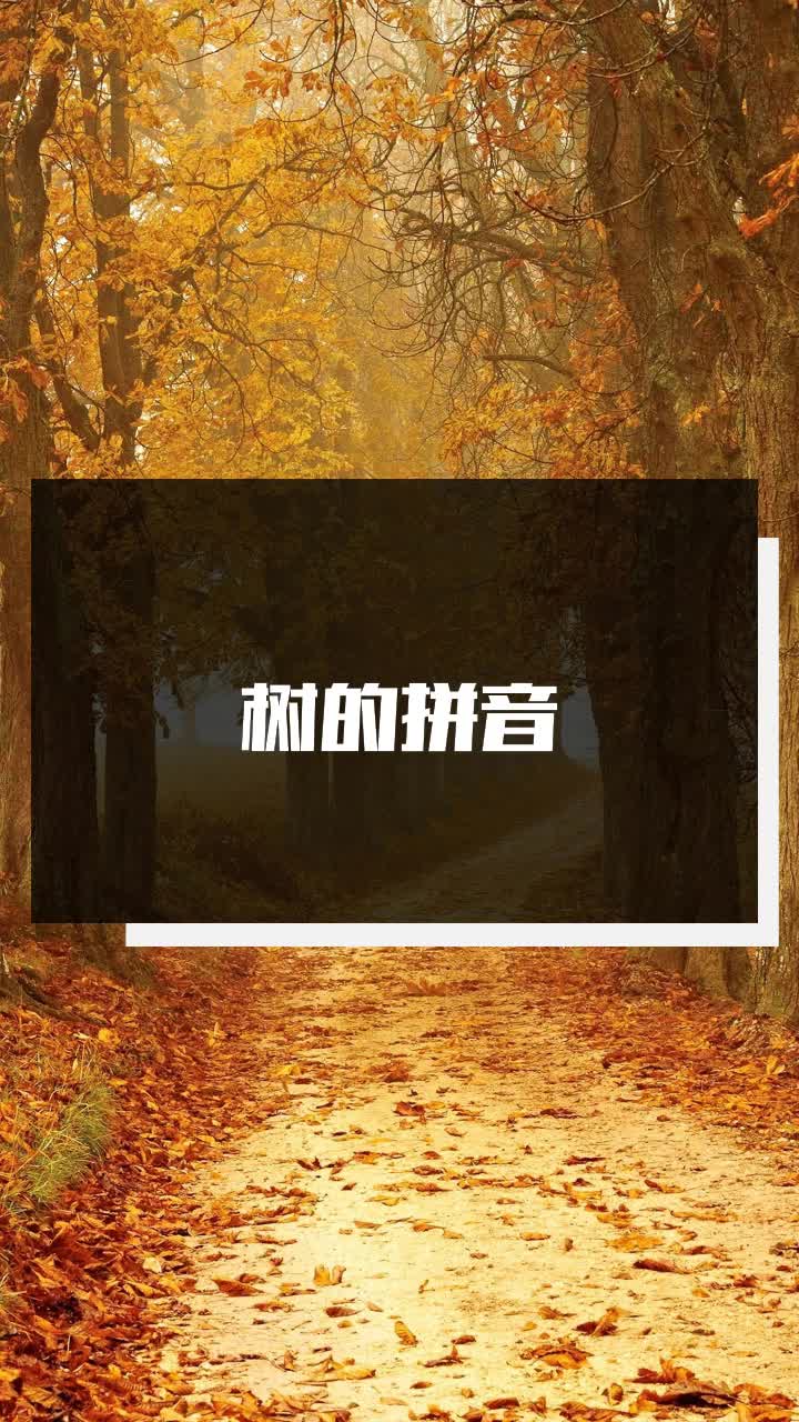 树的拼音