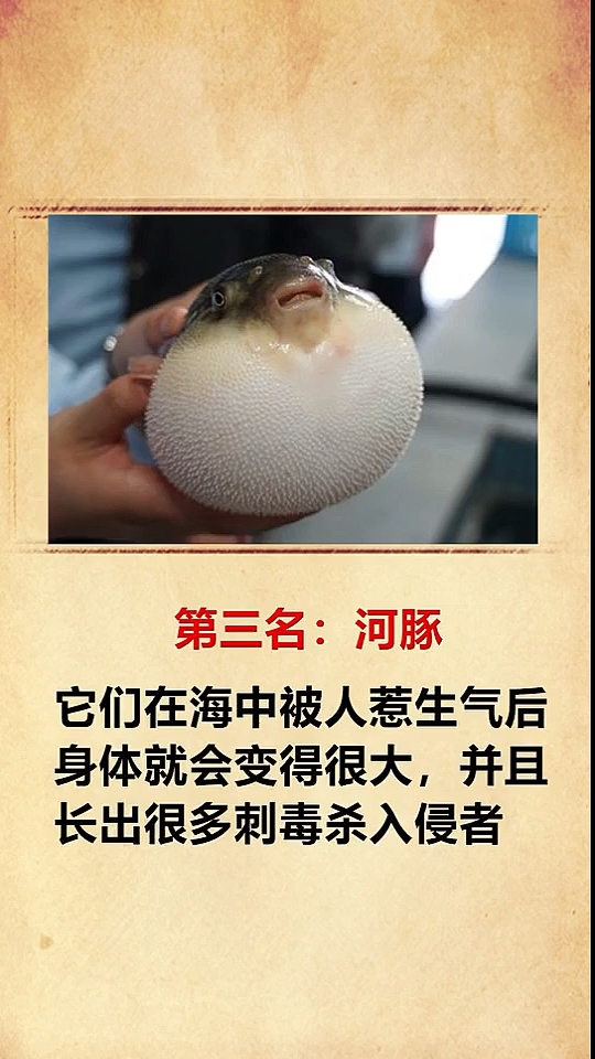 #奇闻趣事#世界上最危险的四种动物,第一名就在我们身边