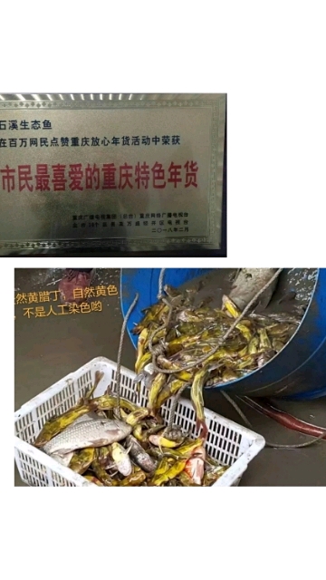 鱼塘出售出租。水源好,交通方便,距南两高速出口6公里。