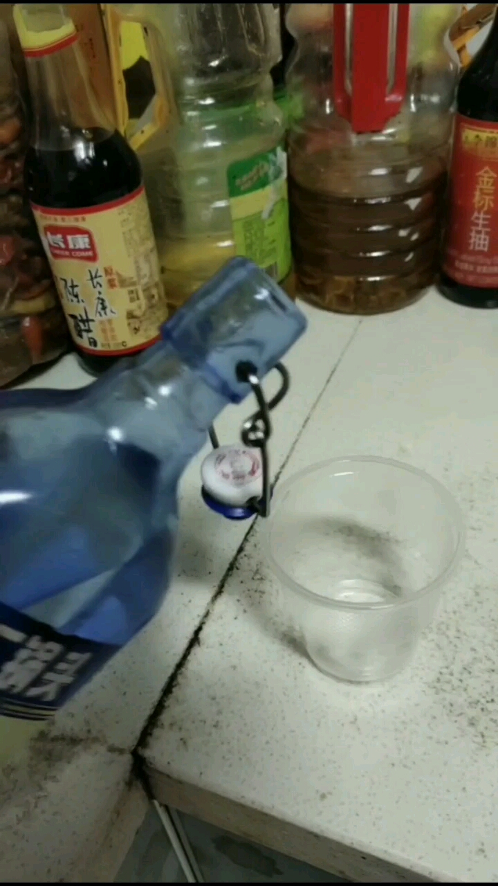 奶奶说要把鸭子灌醉才好拔毛但这可能是我见过的最倔强的鸭先生啦