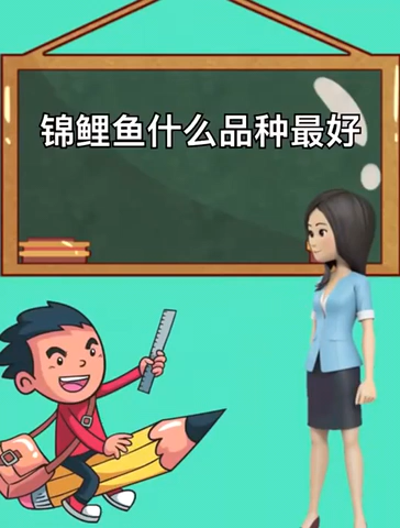 锦鲤鱼什么品种最好