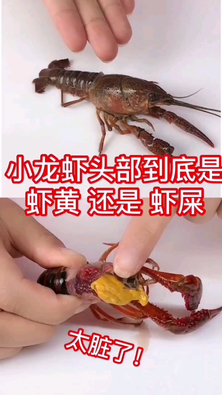 #生活小妙招#旱鸭子的我,一吃海鲜就蒙圈@