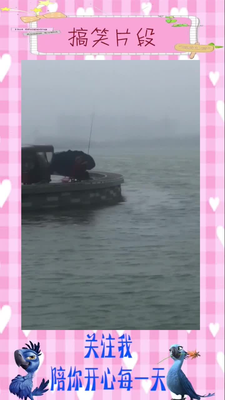 钓鱼人的坚持,无论多大的风浪,都不能阻止他继续钓鱼!#搞笑段子#