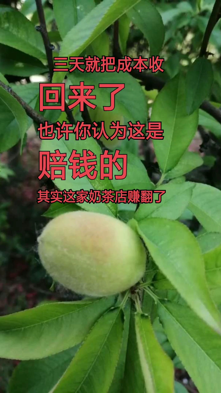 #嘴角向上笑一个吧#大学生是怎样赚钱的?
