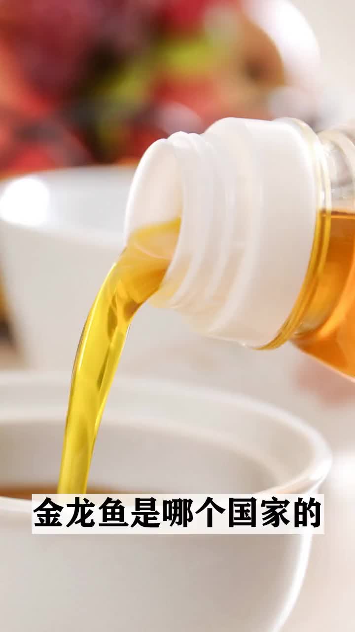 金龙鱼是哪个国家的