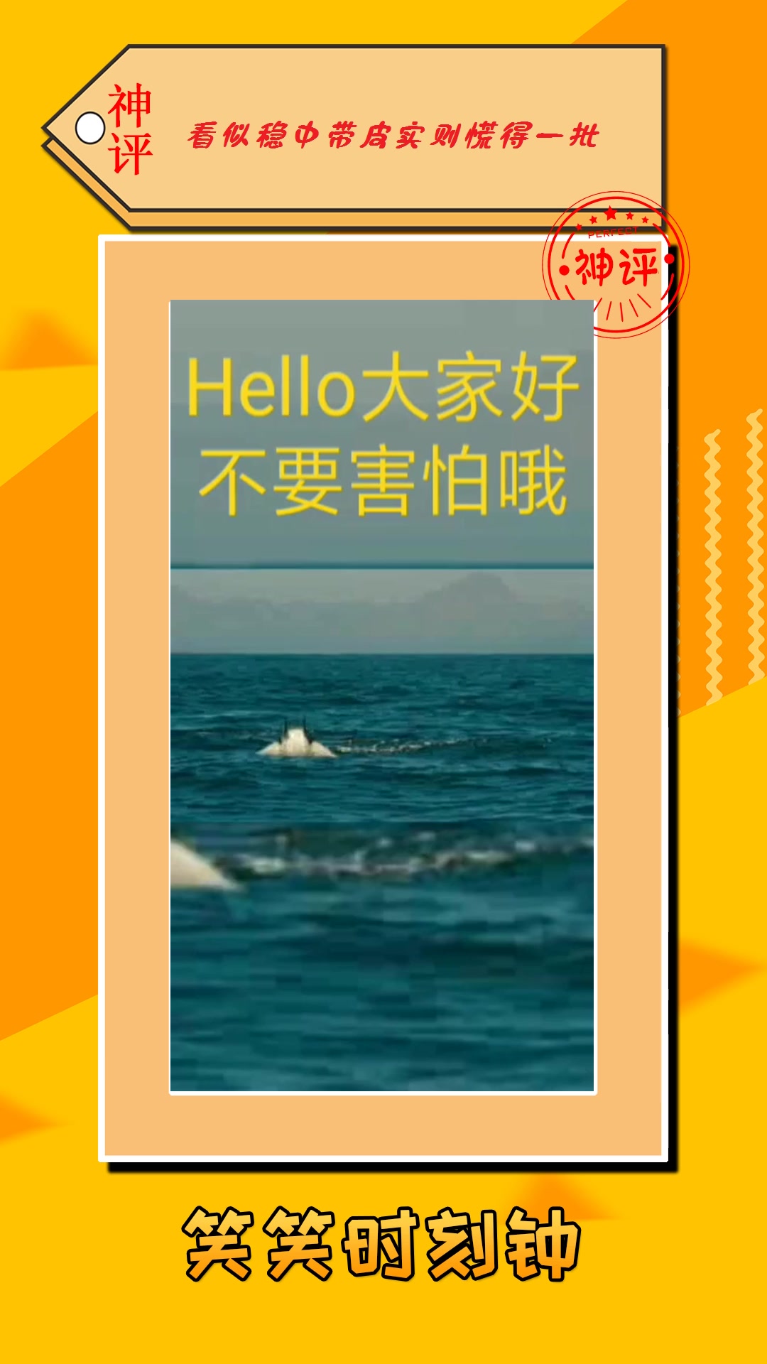 #搞笑#这耀眼的身姿,简直是水中的王者,太牛B了!