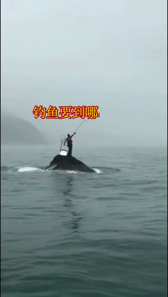 钓鱼歌