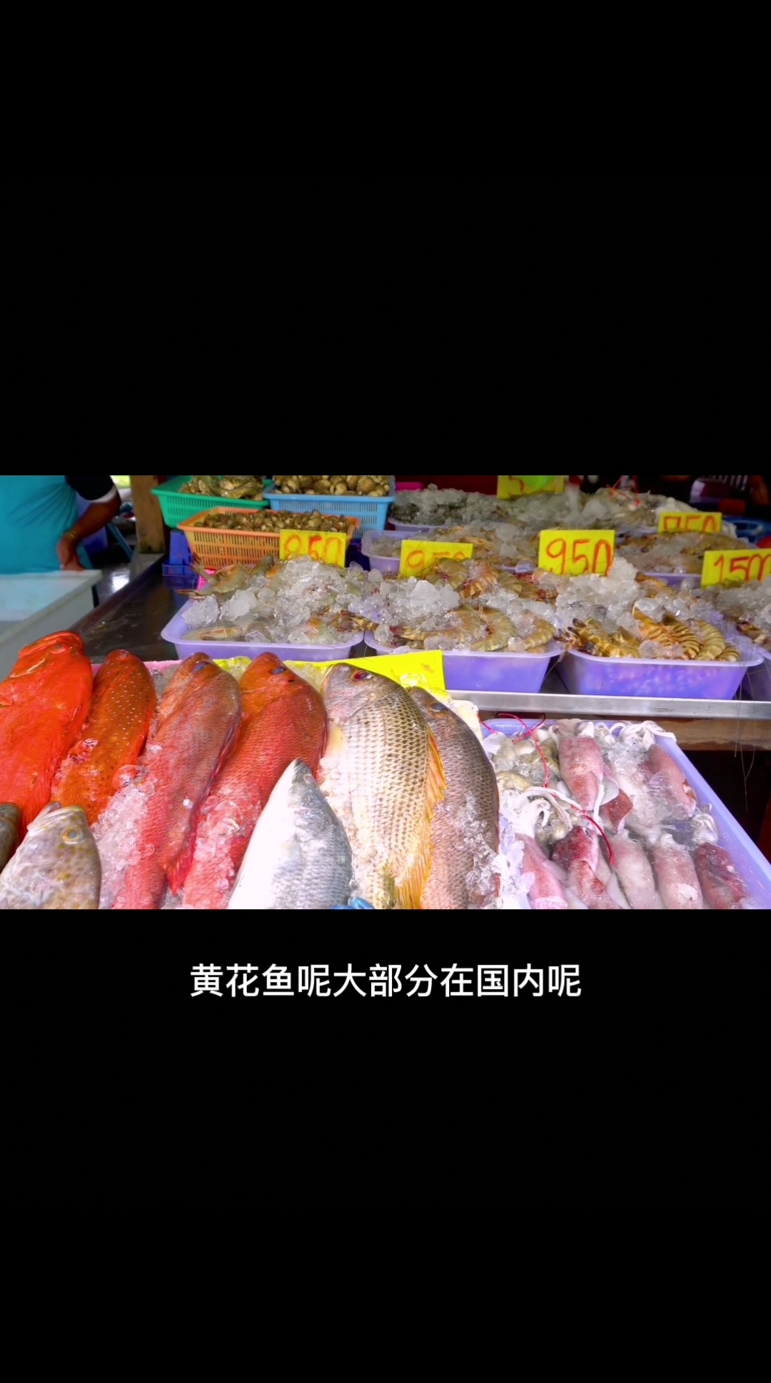 海鱼的品种大全及名字