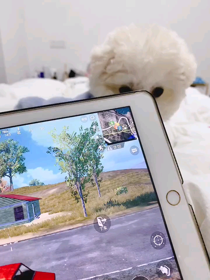 对吃鸡那么感兴趣?