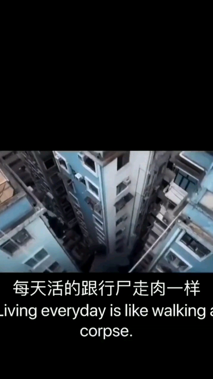 每天活的跟行尸走肉一样