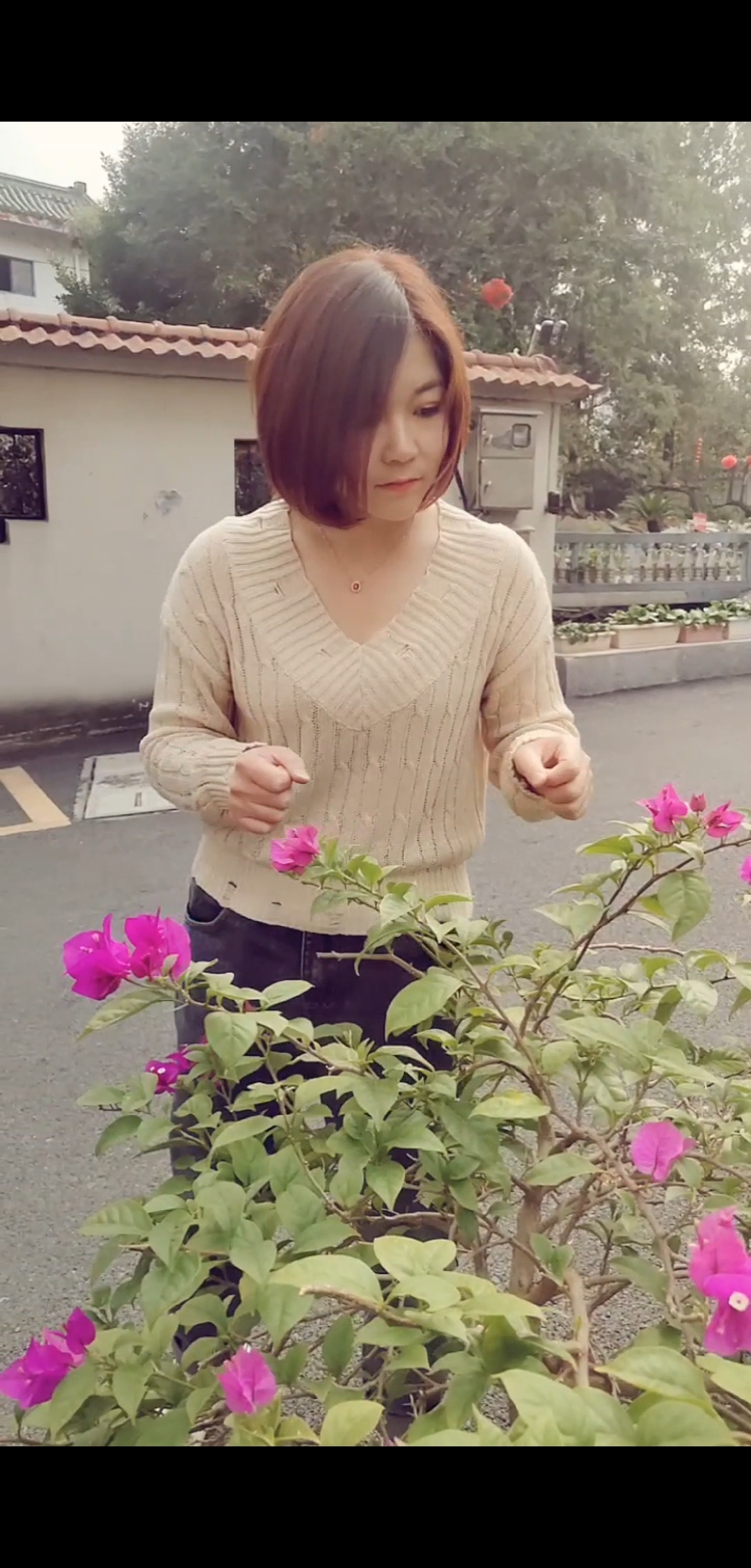 把手给我