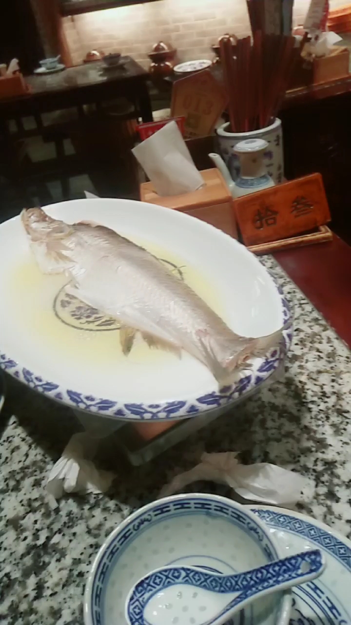 江白鱼