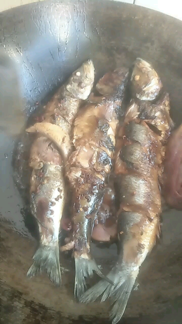 三条小母沙丁鱼都有鱼籽哦,,