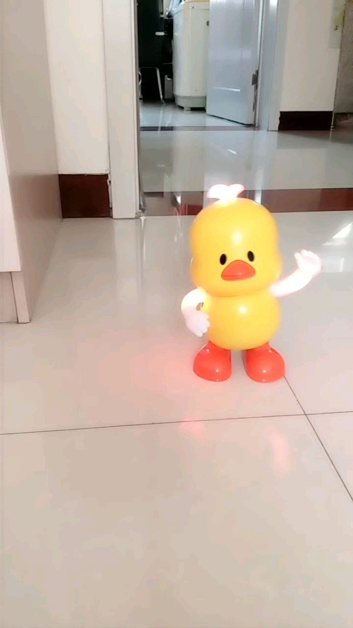 可爱的小鸭子