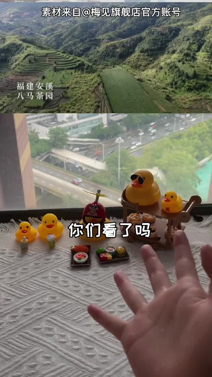 #自制美食#在下来做美食了茶香四溢的茶香东坡肉来啦