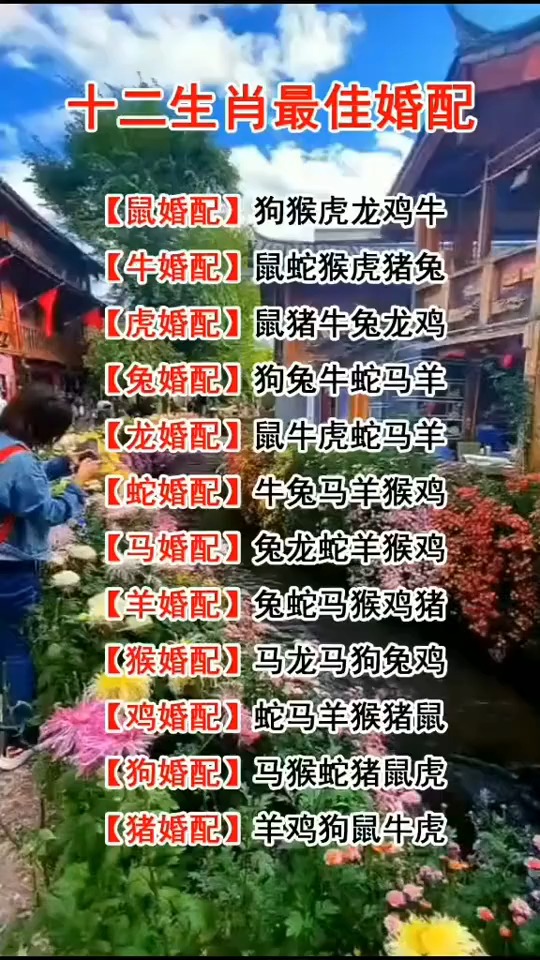 十二生肖最佳婚配