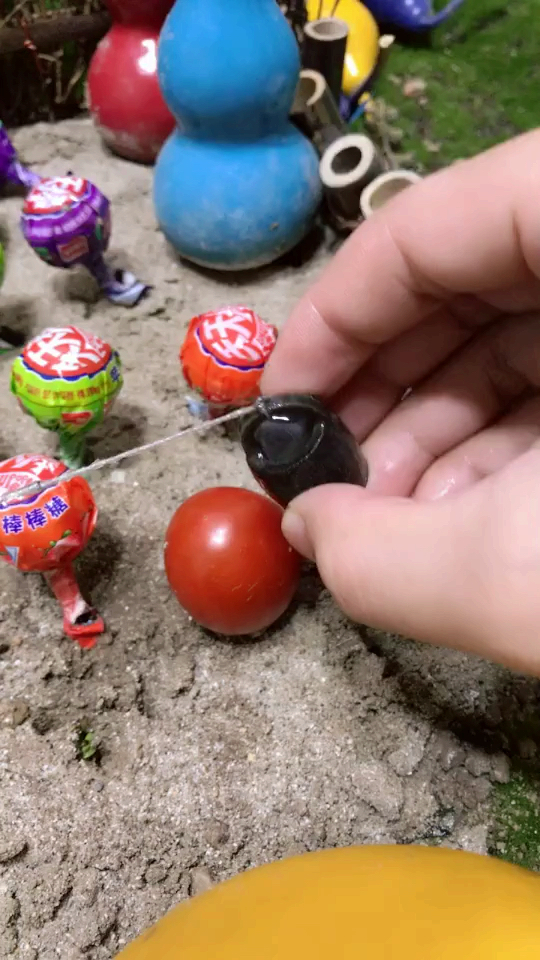爷爷的菜地终于大丰收了