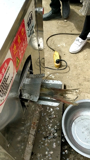 电动去鳞开肚开背杀鱼神器