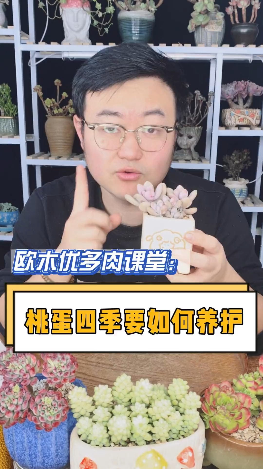 可爱的桃蛋要如何养护呢?四季养护要如何浇水?这个视频告诉你#多肉#多肉植物#