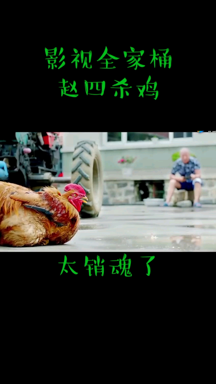 影视全家桶赵四杀鸡。太销魂了