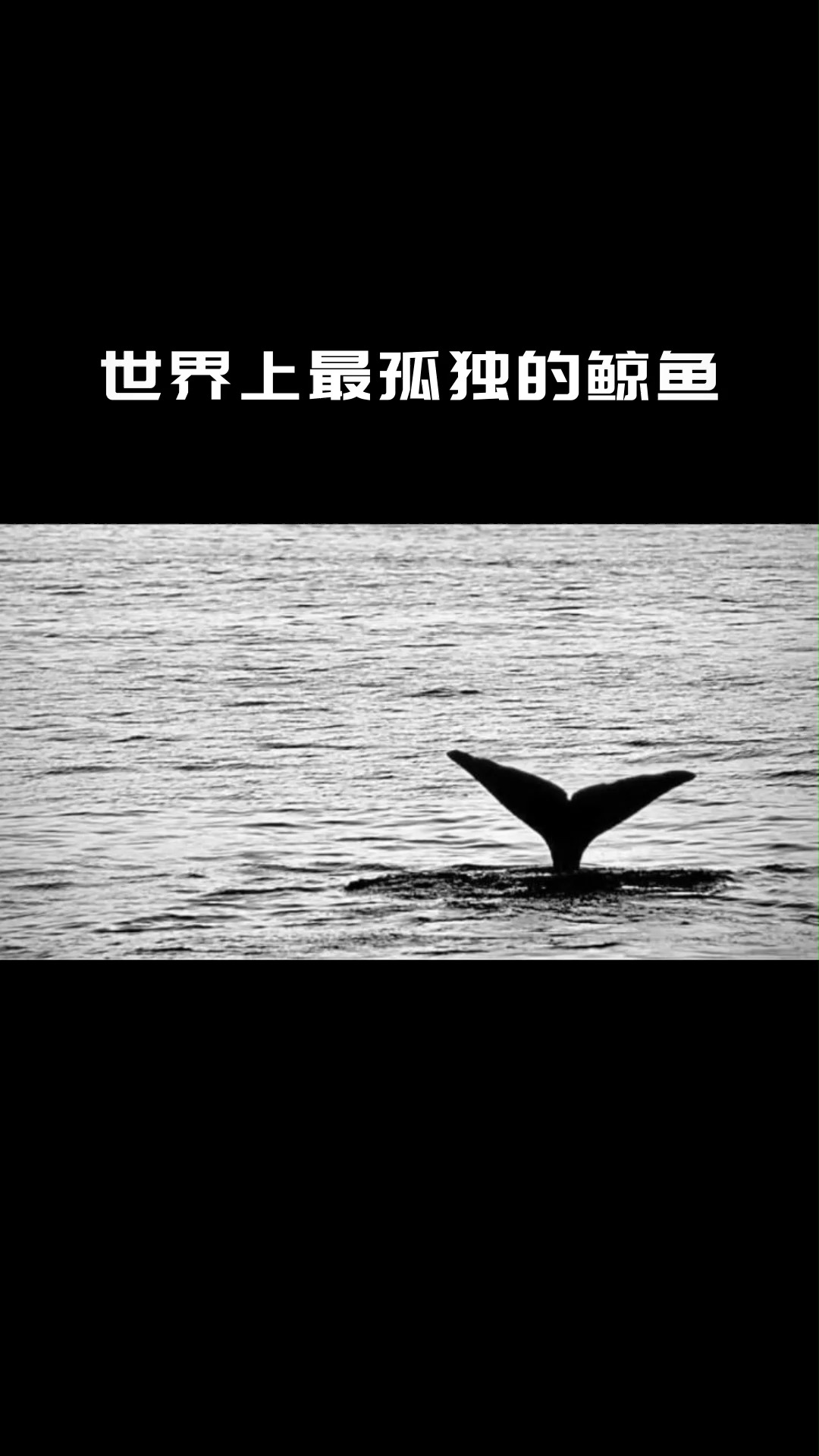 #动物世界#总有人会听到你的心声