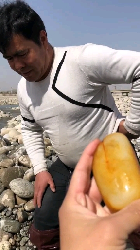 达西一颗二上色料子!
