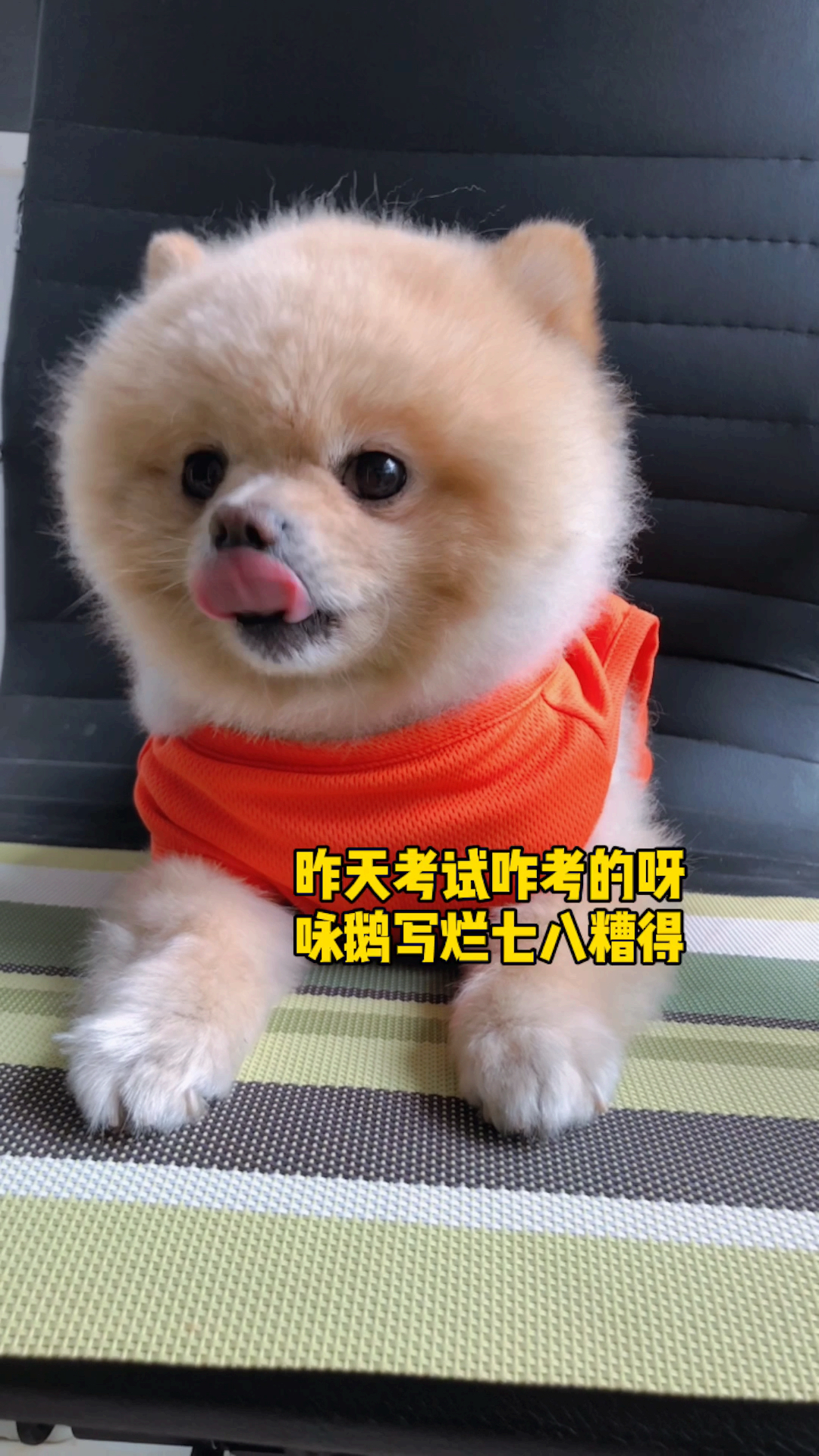 #沙雕青年欢乐多#我也想吃东北铁锅炖大鹅